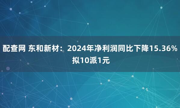 配查网 东和新材：2024年净利润同比下降15.36% 拟10派1元