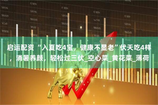 启运配资 “入夏吃4宝，健康不显老”伏天吃4样，消暑养颜，轻松过三伏_空心菜_黄花菜_薄荷
