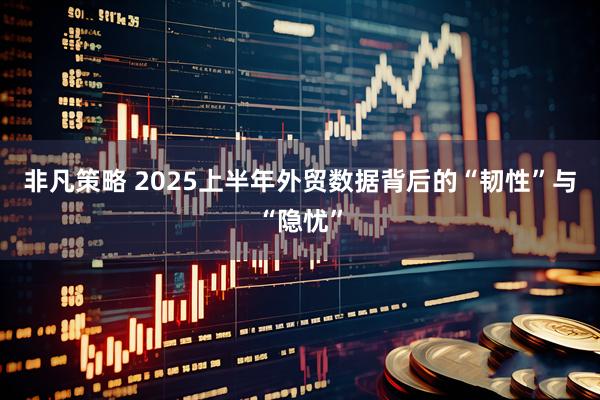 非凡策略 2025上半年外贸数据背后的“韧性”与“隐忧”