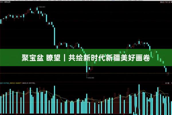 聚宝盆 瞭望｜共绘新时代新疆美好画卷