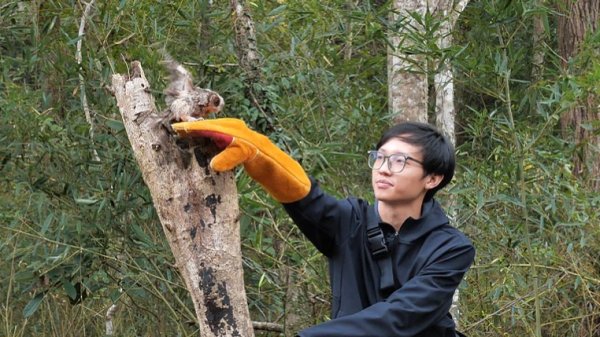 中金财富 江西赣州：两只国家二级保护动物回归自然